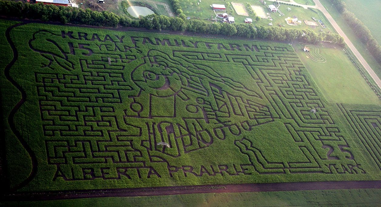 2014 Alberta Corn Maze