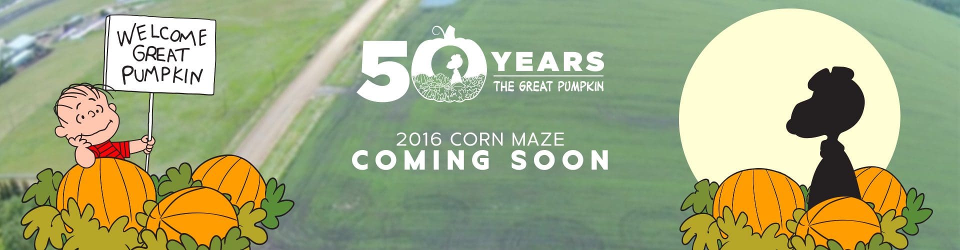 Kraay Family Farm Peanuts Corn Maze