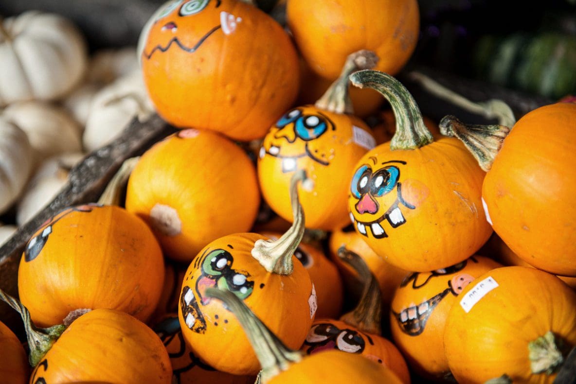 How to keep your Pumpkins happy from now until Halloween! Kraay How to keep your Pumpkins happy from now until Halloween! Kraay
