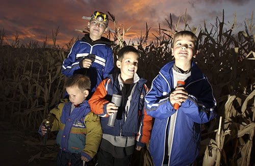 Flashlight Maze - Kraay Family Farm