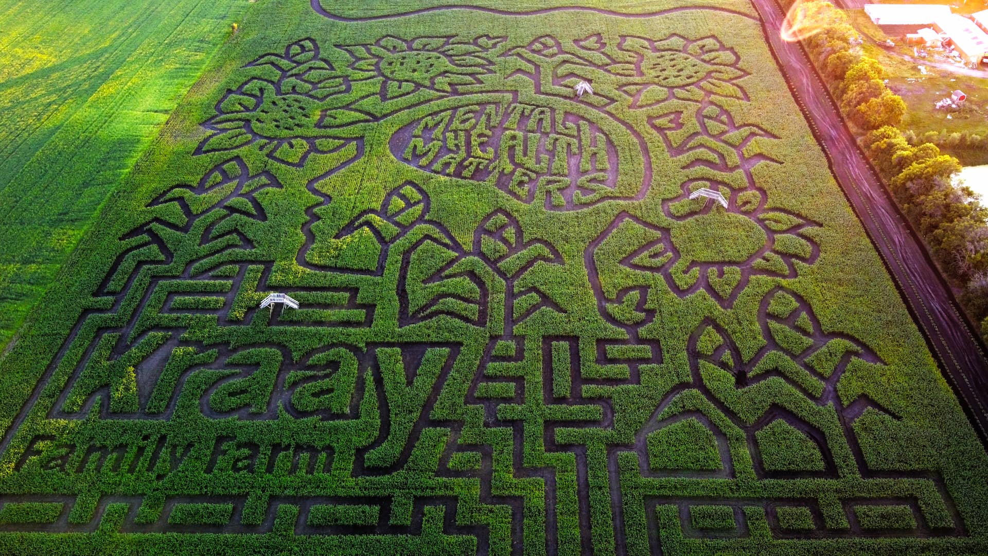 Featured Image for “2022 Kraay Family Farm Maze”